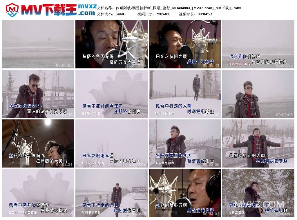 西藏阿敏-飘雪拉萨河_国语_流行_MD404883